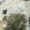 Al Millyah (Mi'ilya, Castellum Regis)