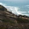 Arsuf