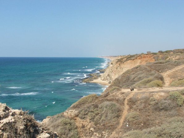 Arsuf
