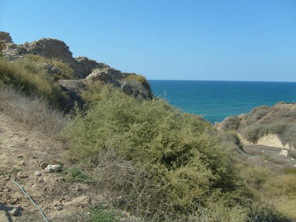 Arsuf