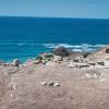 Arsuf