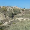Arsuf