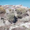 Arsuf