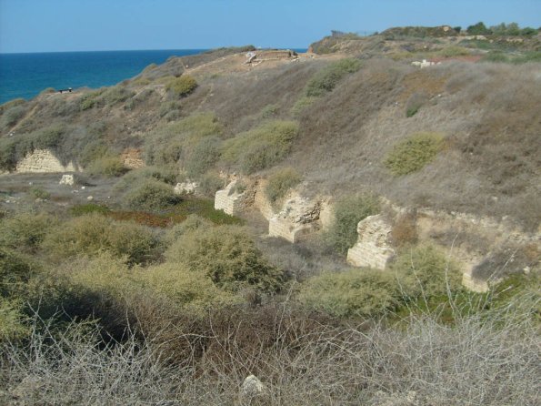 Arsuf
