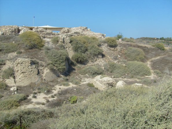 Arsuf