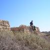 Arsuf