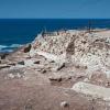 Arsuf