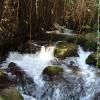 Banias