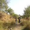 Banias