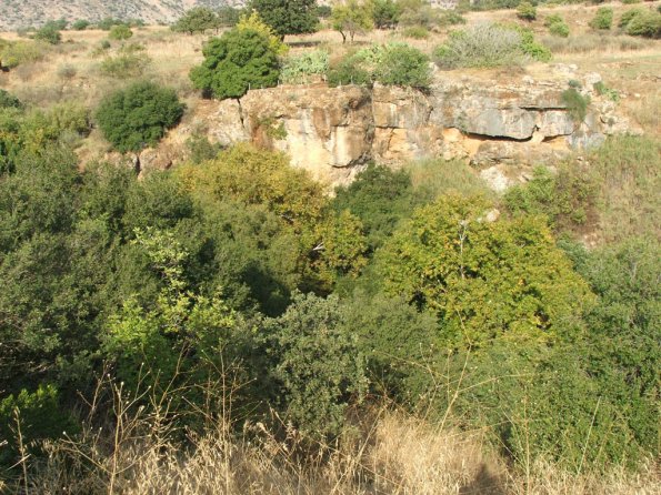 Banias