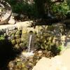 Banias