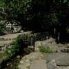 Banias