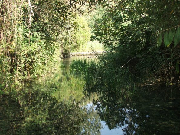 Banias