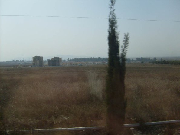 La Feve (Al-Fula)