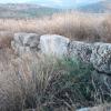 latrun16