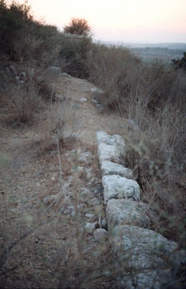 latrun24