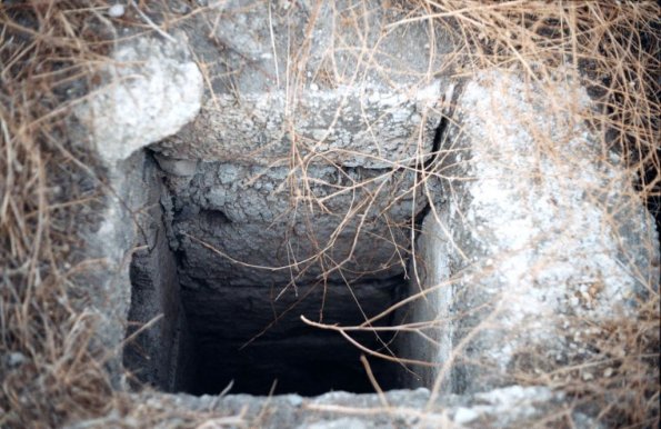 latrun31