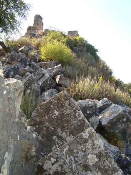 Montfort (Starkenberg)