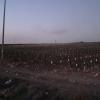 Montgisard