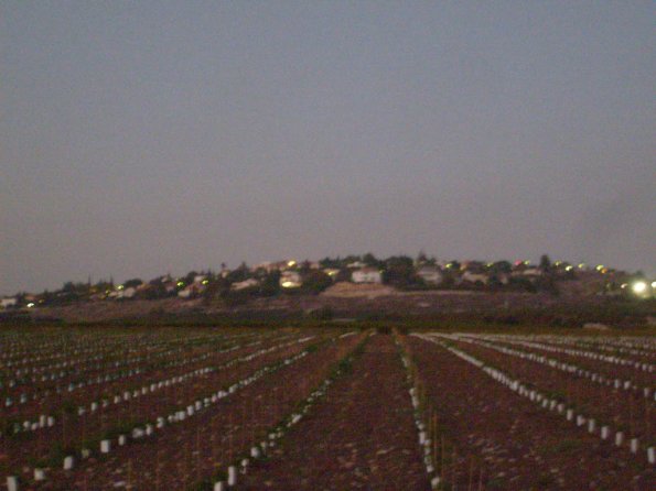 Montgisard